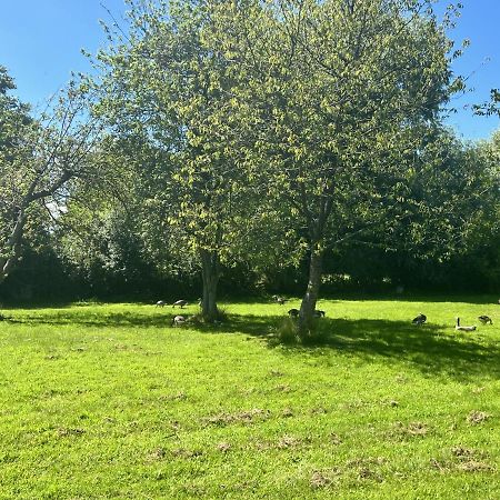 Adorable Two Bed Norfolk Broads Holiday Home - River Views With Moorings & Fishing Stalham Bagian luar foto