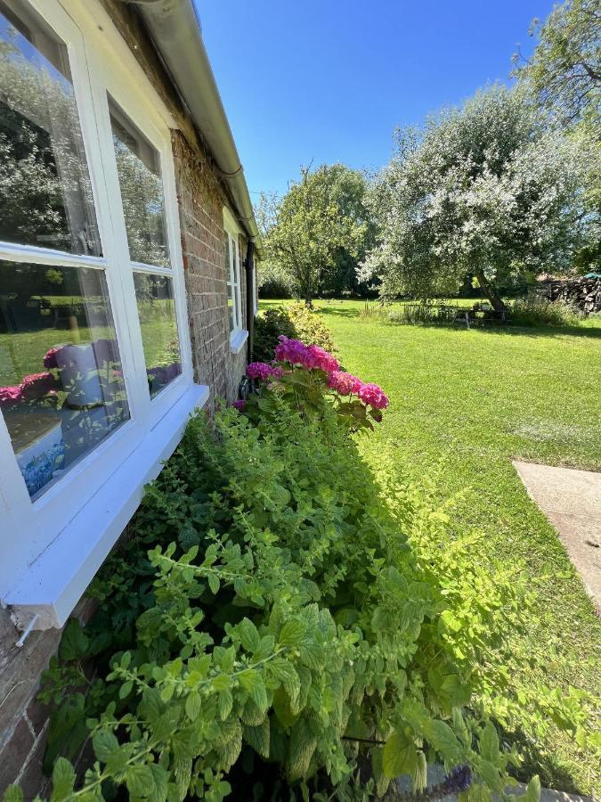 Adorable Two Bed Norfolk Broads Holiday Home - River Views With Moorings & Fishing Stalham Bagian luar foto